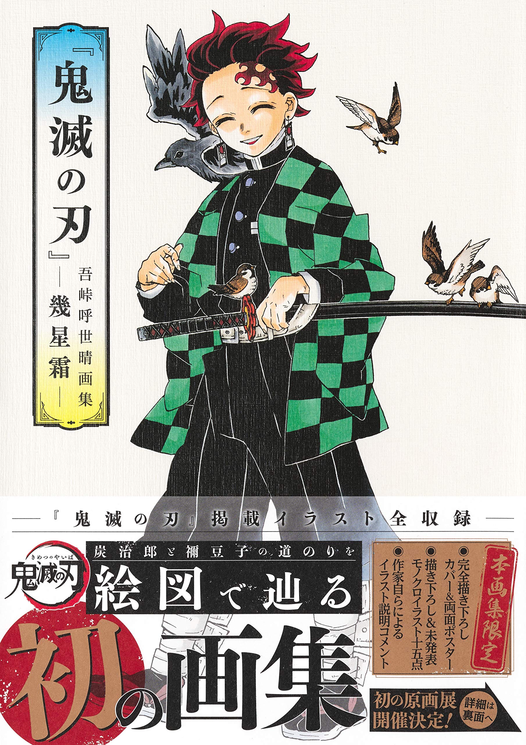 Demon Slayer Kimetsu no Yaiba Artbook Ikuboshi Frost