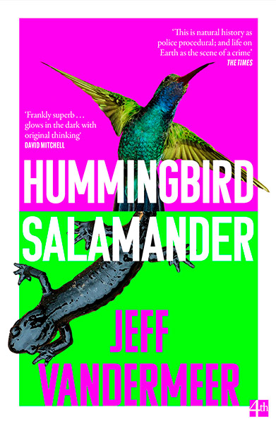 Hummingbird Salamander